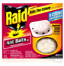 9507_19001458 Image Raid  Ant Baits III.jpg